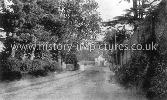 The Village, Great Baddow, Essex. c.1905